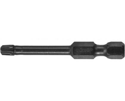 Биты ЗУБР "ПРОФИ" TORX, тип хвостовика E 1/4", T25, 50мм, 2шт, на карточке 26025-25-50-S2